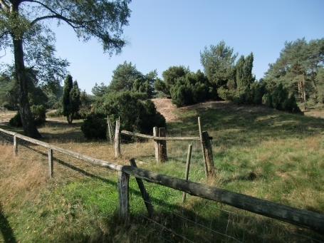 Schermbeck : Impressionen aus dem Naturschutzgebiet Loosenberge